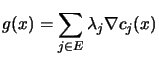 $\displaystyle g(x) = \sum_{j\in
 E} \lambda_j \nabla c_j(x)$