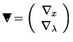 $\displaystyle \begin{picture}(.27,.3)
 \put(0,0){\makebox(0,0)[bl]{$\nabla$}}
 ...
...e}
 = \left( \begin{array}{c}
 \nabla_x \\  \nabla_\lambda
 \end{array} \right)$